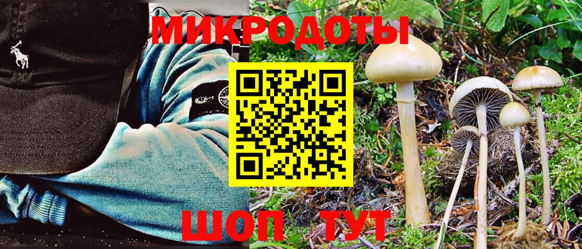 Галлюциногенные грибы Cubensis Кувандык